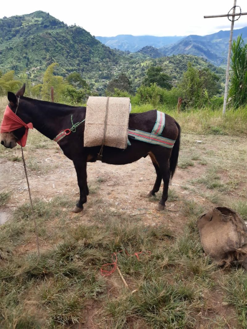 Comprar Encerado para enjalma en Enjalmas el caporal