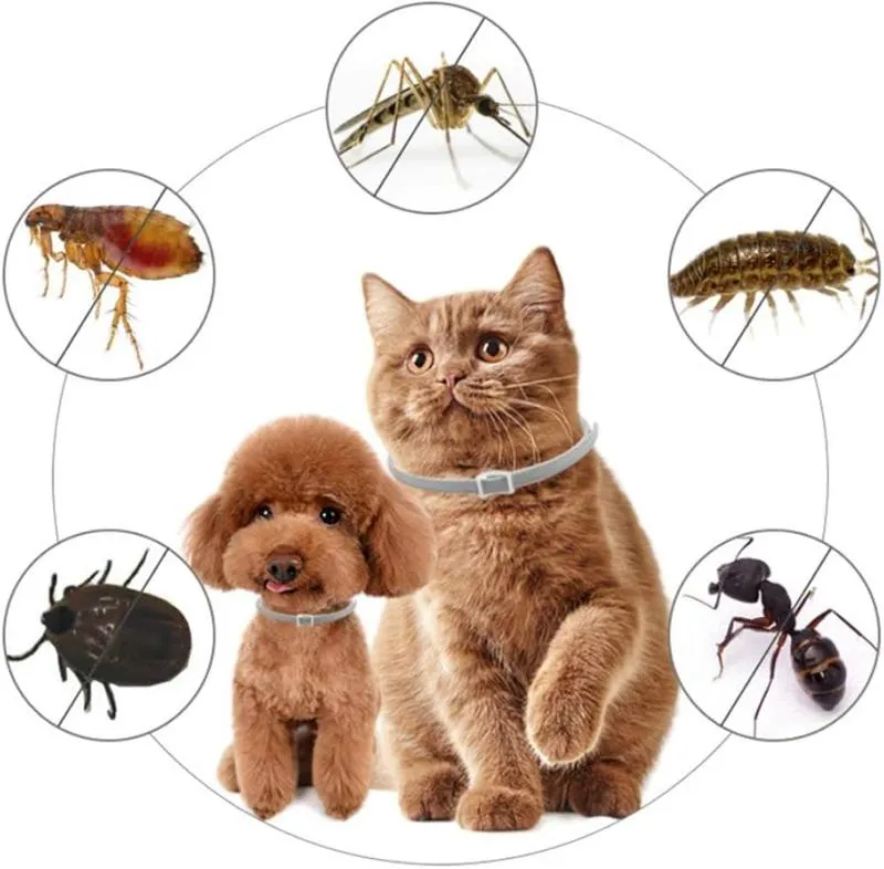 Collar Anti Pulgas Parasitos Perro Gatos - Electroshopy