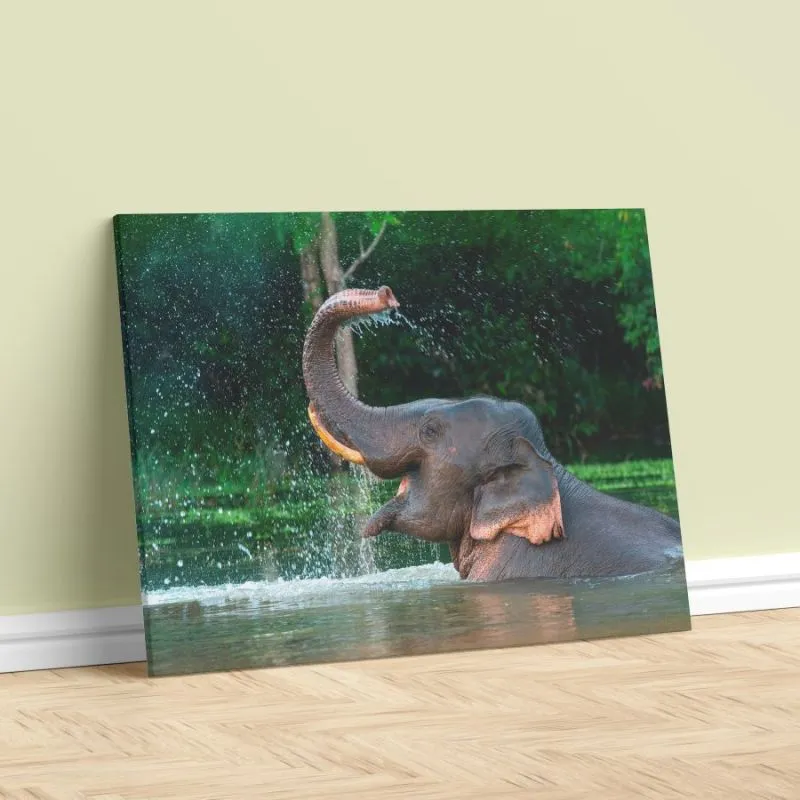 Elefante Lienzo 14 - Electroshopy