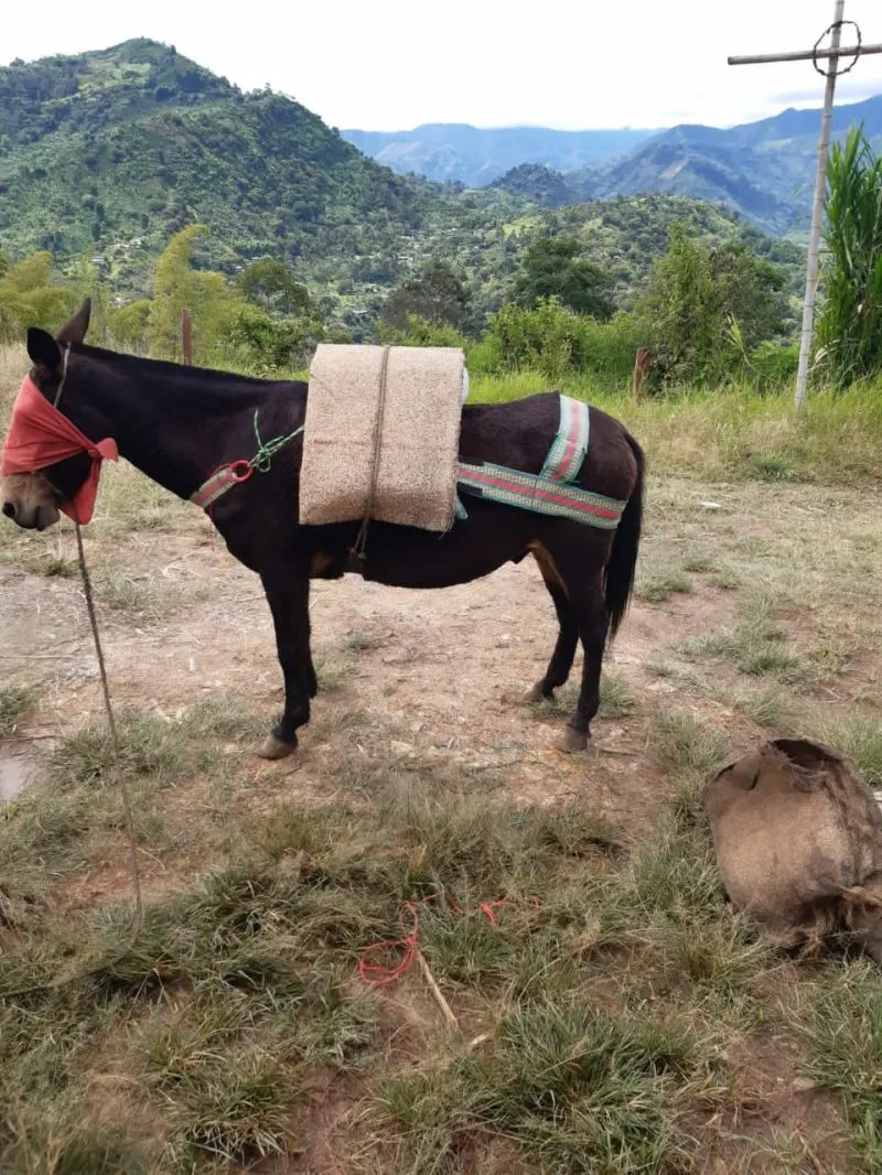 Encerado para enjalma - Fabrica de enjalmas el caporal