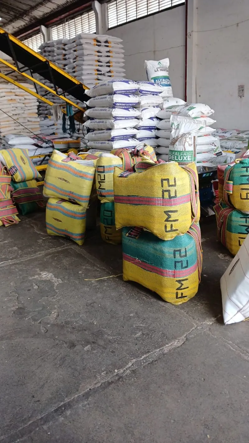 Enjalmon talla 22 - Fabrica de enjalmas el caporal