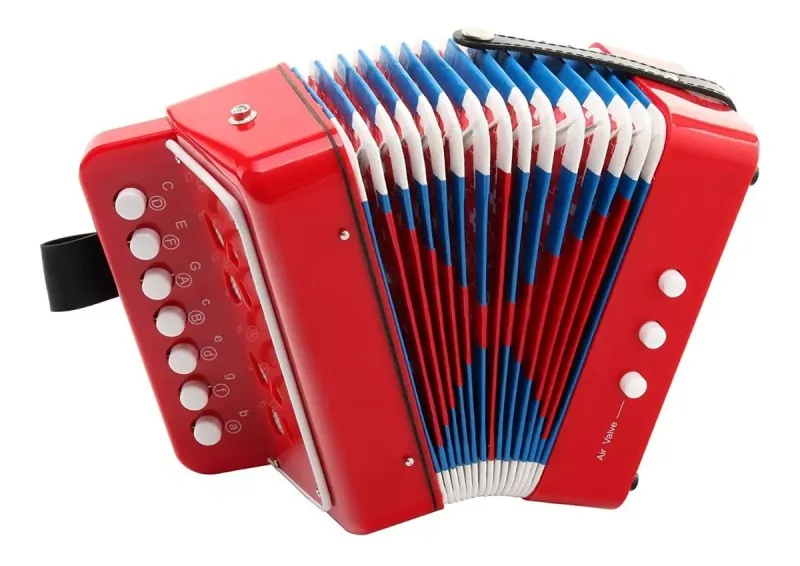 Acordeon Infantil Vallenato Ninos Aprend - Electroshopy